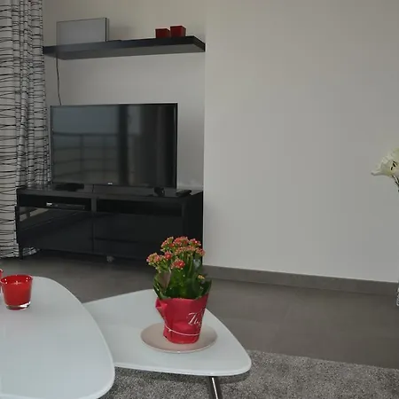 4b @ Longchamp Ostend